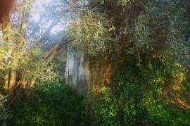 Plot of Land with ruin for development