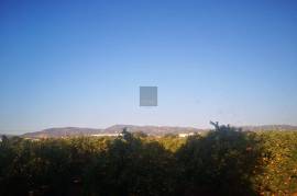 Plot of Land with ruin for development