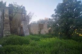 Plot of Land with ruin for development