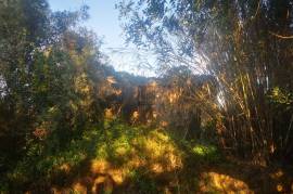 Plot of Land with ruin for development