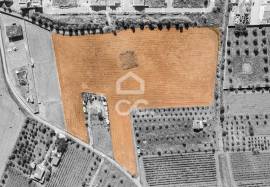 Land Reguengos de Monsaraz Land Reguengos de Monsaraz