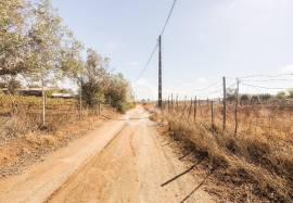 Land Reguengos de Monsaraz Land Reguengos de Monsaraz