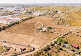 Land Reguengos de Monsaraz