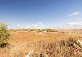 Land Reguengos de Monsaraz Land Reguengos de Monsaraz