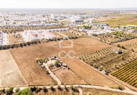 Land Reguengos de Monsaraz Land Reguengos de Monsaraz