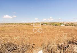 Land Reguengos de Monsaraz Land Reguengos de Monsaraz