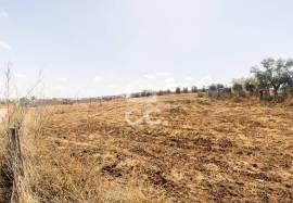 Land Reguengos de Monsaraz Land Reguengos de Monsaraz