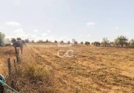 Land Reguengos de Monsaraz Land Reguengos de Monsaraz