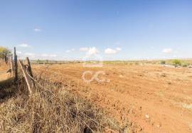 Land Reguengos de Monsaraz Land Reguengos de Monsaraz