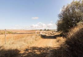 Land Reguengos de Monsaraz Land Reguengos de Monsaraz