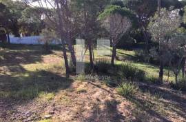 Plot in Vilas Alvas Plot in Vilas Alvas