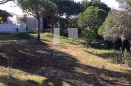 Plot in Vilas Alvas Plot in Vilas Alvas