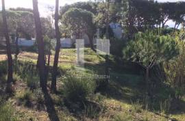 Plot in Vilas Alvas Plot in Vilas Alvas