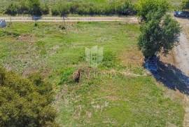 Novigrad, surroundings! Land with a project to build a restaurant and 5 apartments!