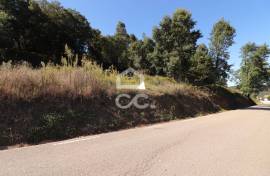 Building land 10 minutes from the center of Coimbra.