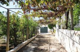 Small farm with 2+1 bedroom villa located in Elvas - Alentejo