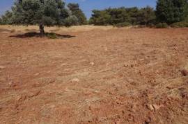 Land / Plot - For Sale - Limassol