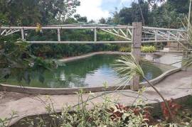 Woods Camp Resort For Sale in Bulusan Sorsogon