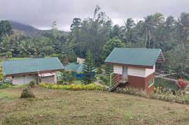 Woods Camp Resort For Sale in Bulusan Sorsogon