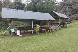 Woods Camp Resort For Sale in Bulusan Sorsogon