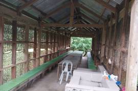 Woods Camp Resort For Sale in Bulusan Sorsogon