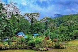 Woods Camp Resort For Sale in Bulusan Sorsogon