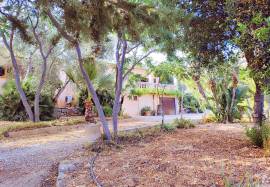 CHARMING RUSTIC FINCA IN CAPDEPERA, MALLORCA