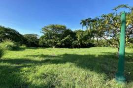 Large Residential Lot in Heron Mill Estate – Lot 12