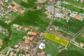 Prime Freehold Land for Sale in Canggu, Strategic Location