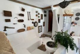 Outstanding Luxury Villa + 3 Apartments