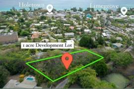 1 Acre Holetown Development Land