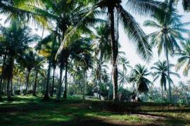 Beautiful A Plot of Freehold Title Beachside Land for Sale at Balian Beach