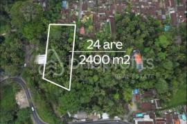 Bali Investor’s Dreamland 2400 sqm Leasehold Land in Sayan Ubud