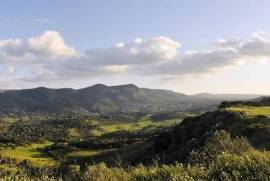 Farm Winery for exploration - Arrábida Hills