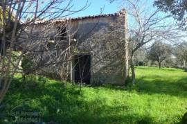 Ruin with land in Cabeca Redonda - Central Portugal