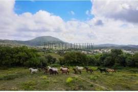 Homeland with 271 hectares in serra da Arrábida - Setubal