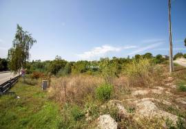 Land in Repeses