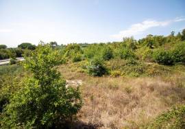 Land in Repeses