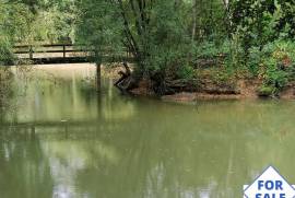 Detached Chalet with Woodland and Lakes