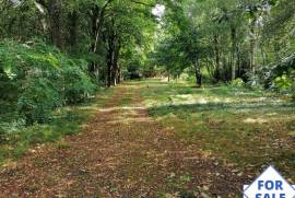 Detached Chalet with Woodland and Lakes