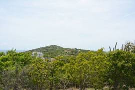 2 Plots of land for sale in Antigua and
