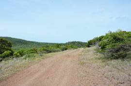 2 Plots of land for sale in Antigua and