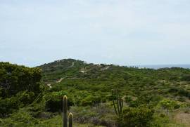 2 Plots of land for sale in Antigua and