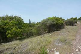2 Plots of land for sale in Antigua and