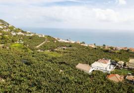 Land for construction in Arco da Calheta