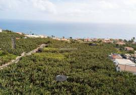 Land for construction in Arco da Calheta