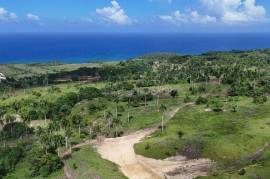 The Best Of Island Living