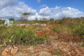 Excellent Plot of land for sale in Albion