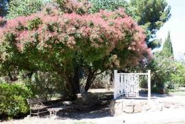 Excellent 4 Bed House For Sale In Aigues-Vives Occitanie France Excellent 4 Bed House For Sale In Aigues-Vives Occitanie France