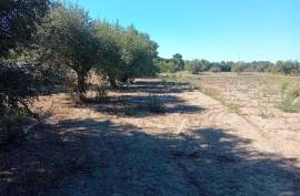 Land Palmela Land Palmela